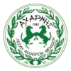 阿查尼斯LFM