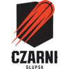 恩尼加斯扎尼logo