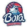 博拉logo