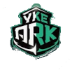 洋基工程職業(yè)籃球隊