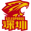 深圳新世纪后备队