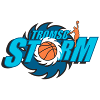 特罗素风暴logo