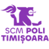 冷蒂米什瓦拉